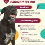 Salud animal gratuita en Guaymas: Centro de Atención Canino y Felino mantiene servicios de vacunación y esterilización