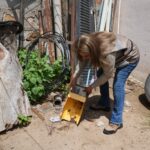 Sonora bajo alerta: Lidera casos de Rickettsia y Dengue a nivel nacional este 2026