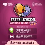Invita Salud Pública a aprovechar Jornada de Esterilización Móvil en Parque “Cuaniuc”