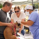 Salud sobre ruedas: Clínicas Móviles visitarán Divisaderos, Tepache y Benjamín Hill con servicios gratuitos