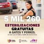 Realiza Salud Pública más de 5 mil 260 esterilizaciones gratuitas en San Luis, el valle y el Golfo