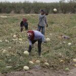 Sonora suma 17 mil nuevos empleos en el primer trimestre de 2026; manufactura y campo lideran el crecimiento