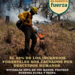 Por la integridad familiar: Instan a la ciudadanía a coordinar esfuerzos para mantener a la baja los incendios forestales