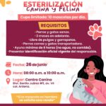 Anuncia Ayuntamiento de Guaymas jornada gratuita de esterilización canina y felina para este 26 de junio