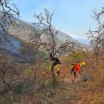 Coordinan Sonora y Arizona combate al incendio forestal «Benton» tras cruzar la frontera en Nogales