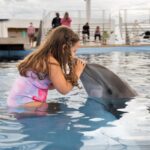Delfinario Sonora listo para recibir a turistas durante vacaciones de verano