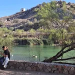 Avanzan jornadas intensivas de reforestación con especies nativas en Hermosillo