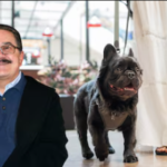 Pedro Sola desata ola de indignación entre famosos tras polémicas declaraciones contra los perros