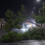 Tormenta deja árboles y postes caídos, apagones generalizados e inundaciones en Hermosillo
