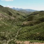 Lluvias en la sierra y sur de Sonora oxigenan al sector agropecuario; Conagua prevé acumulados estables para julio