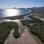 Estero El Soldado potenciará el ecoturismo con recorridos en kayak y senderismo este verano