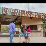 Centro Ecológico de Sonora amplía horarios y actividades para el periodo de julio y agosto