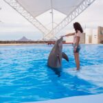 Delfinario Sonora presenta su agenda de actividades y campamento ambiental para este verano