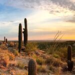 Calor de hasta 42°C y el regreso de tormentas eléctricas marcarán el clima semanal en Hermosillo