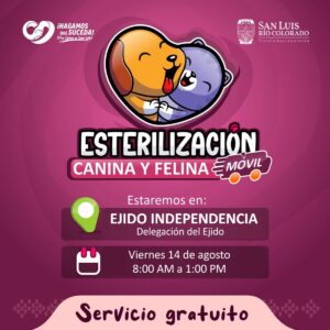 Llega Jornada de Esterilización gratuita al Ejido Independencia