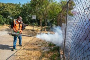 Refuerza Salud Sonora combate al dengue con fumigación en más de 87 mil hectáreas