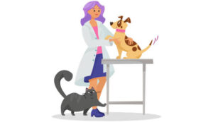 Invitan a jornada de esterilización gratuita para perros y gatos en Navojoa