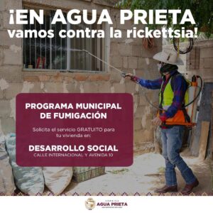 Impulsa Agua Prieta programa municipal gratuito de fumigación para combatir la rickettsia en hogares