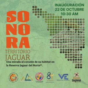 Exhibe Museo Regional de la Unison “Sonora: Territorio Jaguar”: fotografía y vida silvestre en más de 70 mil hectáreas protegidas
