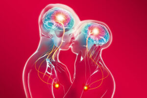 ¿Qué ocurre en el cerebro cuando nos enamoramos? La ciencia detrás del flechazo y la química del afecto